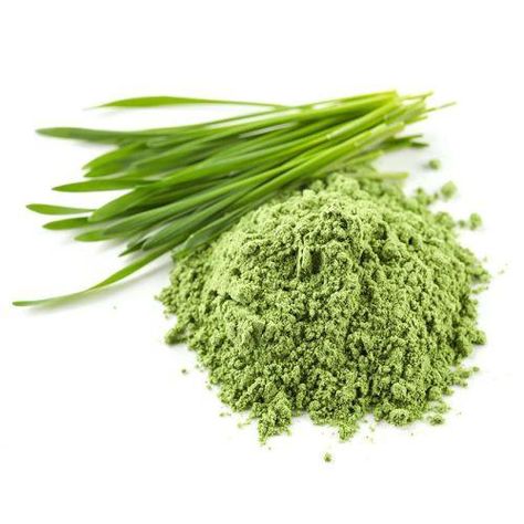 Buy Herbal Powders Online at Wholesale Price from Leading Manufacturer, Supplier of India. Order Natural, Organic Herbal Powders in Bulk quantity at Lowest price. Check Herbal Powders Price in Kg, Certifications, Fast shipping & Payment options at VedaOils. Wheat Grass Powder, Wheatgrass Powder, Superfood Supplements, Superfood Smoothie, Healthy Eyes, Turmeric Root, Wheat Grass, Smoothie Ingredients, Rich In Protein