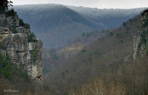 Winter tale recalls deadly aspect of Allegheny Mountains in W.Va. Monongahela National Forest, Seneca Rocks, West Va, Allegheny Mountains, Winter's Tale, Mountain Top, West Virginia, How To Fall Asleep, Photo Galleries