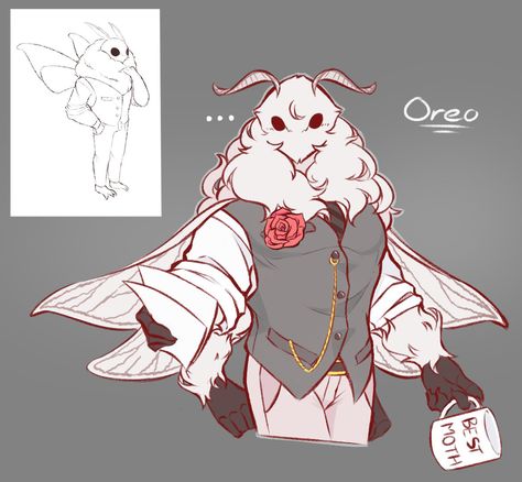 Patchwork Doll Character Design, Moth Oc Male, Venezuelan Poodle Moth, Beastars Oc, Moth Oc, Possum Art, Oc Redesign, Moth Anthro, Poodle Moth