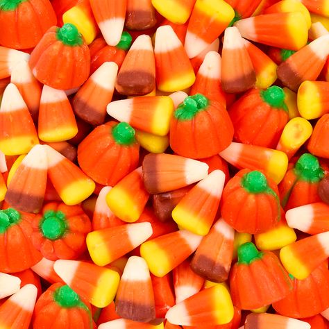 Candy Cornoisseur 🧡🍂 In honor of National Candy Corn Day, try our a-maize-ing treats with candy corn! Sour Worms, Dum Dums, Blow Pops, Dubble Bubble, Orange Candle, Super Market, Tootsie Roll, Halloween Candy Corn, Bulk Candy