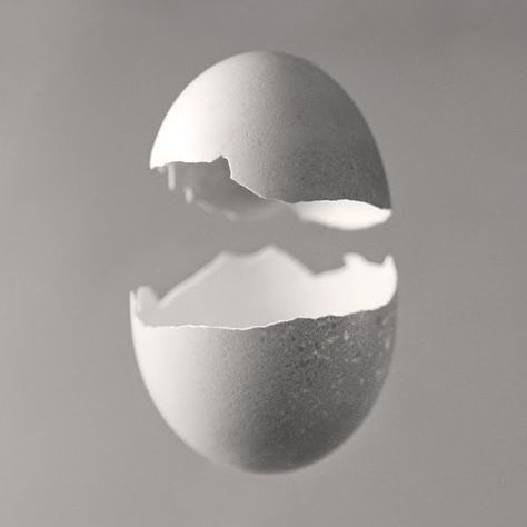 Eggshell Aesthetic, Egg Photography Creative, Egg Photography, Baby Photography Backdrop, Moonlight Photography, Egg Design, Creative Photography Techniques, Egg Shell, Montage Photo