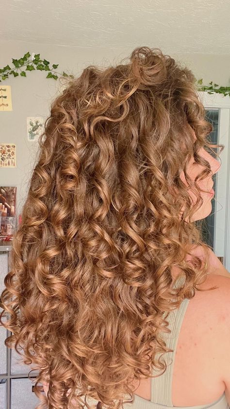 Blonde Curly Hair Natural, Ginger Brown Hair, Curl Clumps, Dyed Curly Hair, Strawberry Blonde Hair Color, Brown Curly Hair, Red Curly Hair, Brown Hair Inspo, Curly Hair Photos