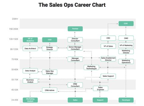 Sales Operations, Project Management Software, Marketing Director, Resume Skills, Data Analyst, Online Business Marketing, Marketing Consultant, Career Growth, Career Path