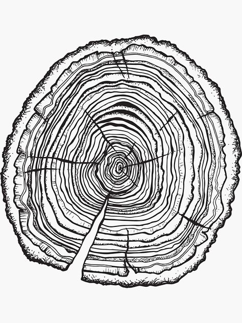 Tree Stump Tattoo Design, Oak Tree Rings, Tree Rings Drawing, Tree Ring Painting, Tree Ring Illustration, Tree Ring Tattoo Shoulder, Tree Ring Art Diy, Tree Rings Art, Tree Rings Tattoo