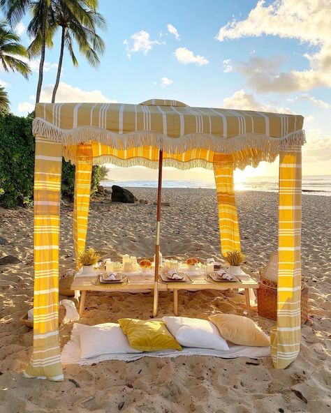 Business & Pleasure Co.™️ on Instagram: “Picnic in paradise with our Premium Cabana. Our Premium Cabana is perfect for the extra shade lover. #withpleasure” Sunshade Ideas, Beach Pergola, Beach Bday Party, Mexico Birthday, Cabana Decor, Picnic Table Decor, Beach Gadgets, Owning Property, Beach Picnic Party