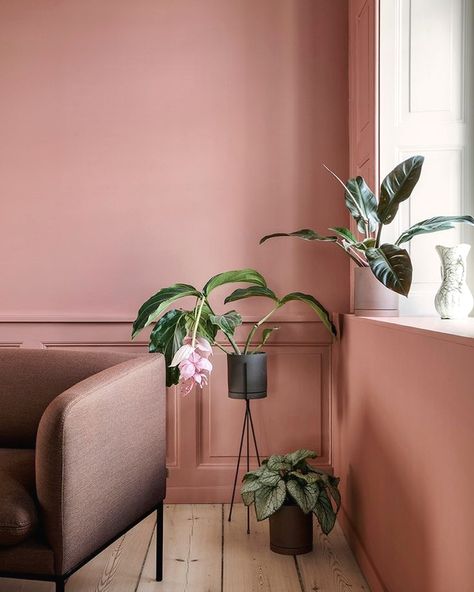 Dusty rose room by ferm LIVING Plant Goals, Deco Rose, Dekorasi Kamar Tidur, Pink Wall, Pink Interior, Pink Decor, Home Trends, House Plant, Ferm Living