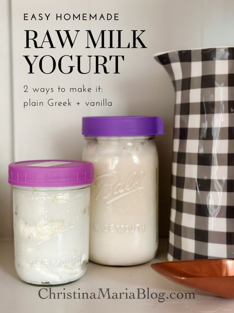 easy homemade raw milk yogurt Homemade Cheeses, Yogurt Homemade, Raw Dairy, Goat Milk Yogurt, Cottage Recipes, Goat Milk Recipes, Make Greek Yogurt, Instant Pot Yogurt, Homemade Greek Yogurt