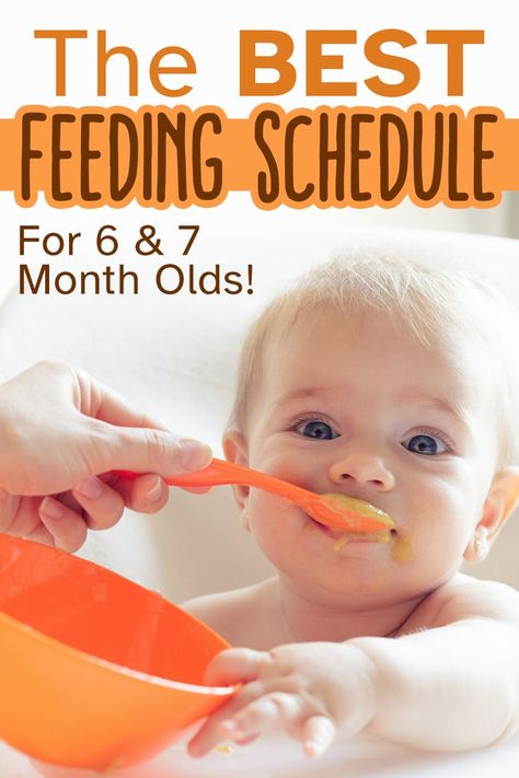 Get a printable 6 month old feeding schedule with helpful tips to use and adjust for your baby through the end of their 7th month. And, grab some bonus feeding tips that will help you safely and confidently feed your baby! Feeding Schedule For Baby, 6 Month Old Feeding Schedule, 6 Month Baby Food Chart, 7 Month Old Baby Food, Food Schedule, 7 Months Baby Food, 9 Month Baby Food, Six Month Baby, Baby Food Schedule