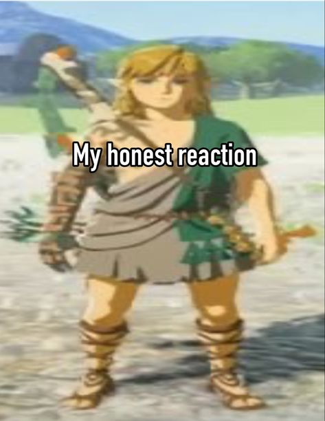 #zelda #loz #link #nintendo #nintendoswitch #videogames #tiktok #whisper Link Botw Funny, Black Link Zelda, Zelda Reaction Pics, Link Fanart Cute, Link Banner, Link X Zelda, Link Totk, Tears Of The Kingdom Link, Loz Link