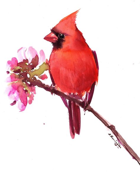 Cardinal bird . 10” x 8”, watercolor,paper #art #painting #watercolor #cardinal #redcardinal Watercolor Cardinal, Cardinal Watercolor, Suren Nersisyan, Art Painting Watercolor, Cardinal Painting, Cardinal Bird, Cardinal Birds, Painting Watercolor, Bright Color