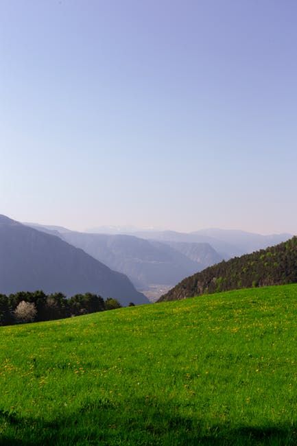 Landscape Photography of Green Grass Field · Free Stock Photo Nature Education, Grasses Landscaping, Green Field, Green Pasture, Nature Hikes, Grass Field, Fields Photography, Landscaping Tips, Landscape Scenery