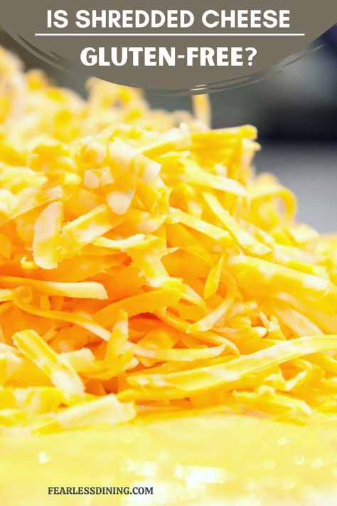 With all the different types of grated cheese out there. It comes in many delicious varieties. Is shredded cheese gluten free? Gluten Free Brands, Gluten Free Cheese, Grated Cheese, Gluten Free Cooking, Shredded Cheese, Different Types, Gluten Free, Cheese