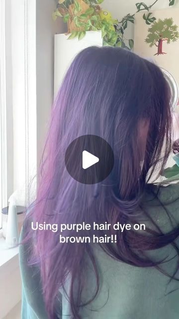 Arctic Fox Hair Color on Instagram: "🙅‍♀️ Don’t want to bleach your hair? Purple AF on a darker base for a deep burgundy is mandatory! ✨ So don’t forget to pick up a bottle or two...or three of Purple AF and have a little fun!! 💜  #purpleaf #purplehair #haircolor" Purple Af Arctic Fox Hair, Artic Fox Purple Af, Brown Hair Dyed Purple, Arctic Fox Purple Af, Purple Burgundy Hair Color, Arctic Fox Purple, Artic Fox Hair, Fox Hair Dye, Arctic Fox Hair Dye