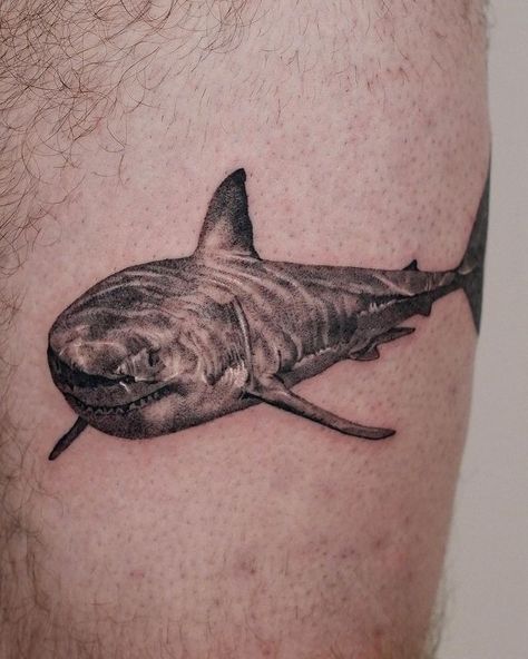 great white shark tattoo • Instagram White Shark Tattoo, Great White Shark Tattoo, Tattoos Realism, Shark Tattoo, Tattoo Instagram, Shark Tattoos, White Sharks, Great White Shark, Great White