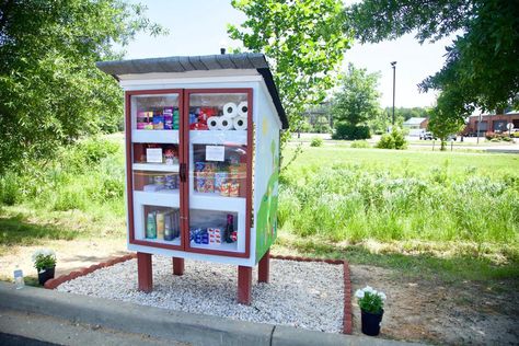 Sharing Library Diy, Community Blessing Box Ideas, Blessing Box Food Pantry, Sharing Library, Outdoor Pantry, Community Pantry, Community Fridge, Girl Scout Silver Award, Little Free Pantry