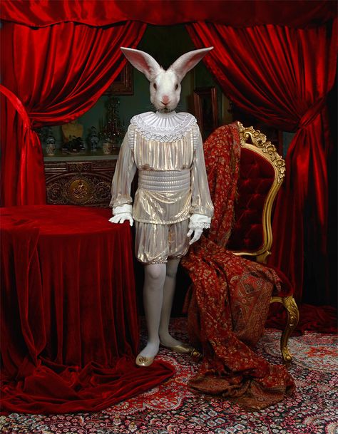 Circus Aesthetic, Dark Circus, Night Circus, Vintage Circus, Design Bedroom, Design Living Room, White Rabbit, Design Living, Cabaret