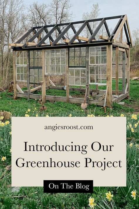 Introducing our backyard greenhouse project. We've been (slowly...oh so slowly) working on building a backyard greenhouse using some old window sash we've collected over the years. Visit the blog for a project introduction and follow along for updates as we build it. Year Around Greenhouse, Antique Window Greenhouse, Green House Old Windows, Greenhouse Building Plans, Reclaimed Window Greenhouse, Glass Window Greenhouse, Greenhouse Old Windows, Greenhouse Out Of Old Windows, Greenhouse Made From Old Windows