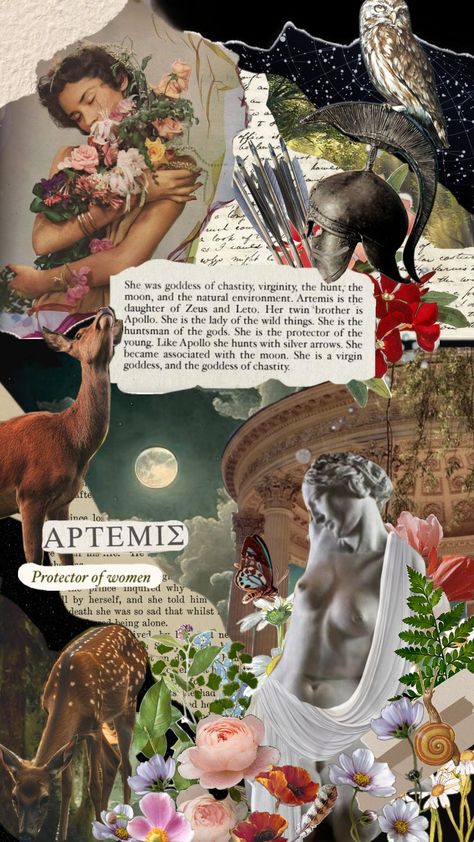 Goddess of wilderness & women. #artemis #greekmythology #greekgoddess #wildlife #nature #archery #ancientgreece #goddess #women Goddess Women, Artemis Goddess, Daughter Of Zeus, The Protector, Twin Brothers, Wildlife Nature, Moon Goddess, Greek Goddess, Greek Gods