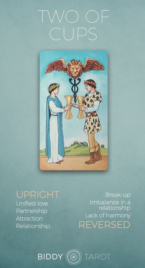 2 Cups Tarot Meaning, 2 Of Cups Tarot Meaning, Two Of Cups Tarot Meaning, 2 Of Cups Reversed, Two Of Cups Reversed, 2 Of Cups Tarot Card, 2 Of Cups Tarot, Two Of Cups Tarot Card, Two Of Cups Tarot