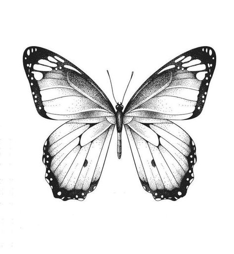 Butterfly Stencil Tattoo, Realistic Butterfly Tattoo, Borboleta Tattoo, Butterfly Tattoos Images, Butterfly Tattoo Stencil, Unique Butterfly Tattoos, Tattoo Shading, Butterfly Stencil, Tattoo Zeichnungen