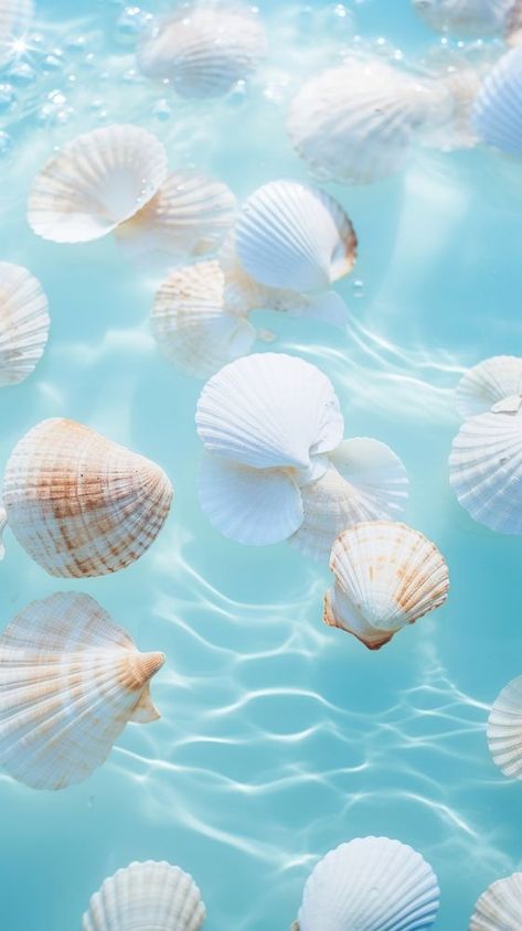 Shells seashell outdoors summer. | premium image by rawpixel.com / wannisa sahunalu Sea Shells Background, Blue Aesthetic Banner, Seashells Background, Shells Background, Wallpaper Backgrounds Cute, Aesthetic Mobile Wallpaper, Aesthetic Mobile, Backgrounds Cute, Wallpaper In Blue