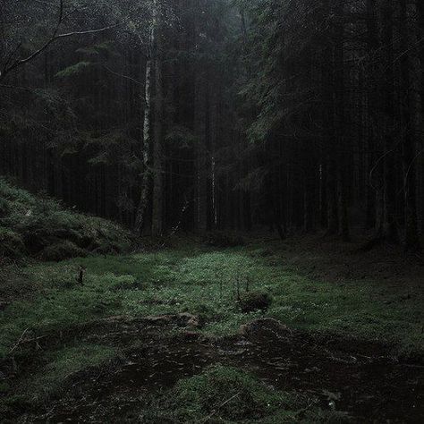 Evil Aesthetic, Woods Aesthetic, Supernatural Aesthetic, Dark Naturalism, Dark Forest Aesthetic, Dark Fairycore, Dark Green Aesthetic, Slytherin Aesthetic, Dark Rose