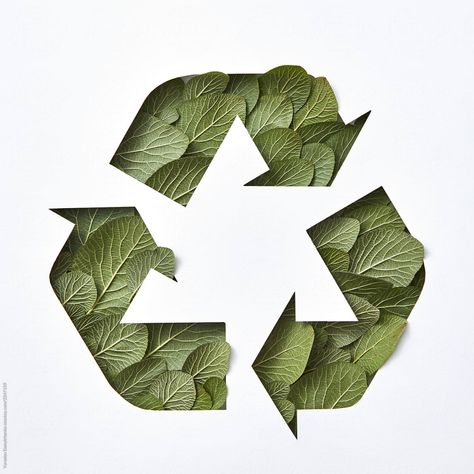 Recycle Sign, Garbage Recycling, Sustainability Projects, 동화 삽화, Green Environment, Sustainable Art, Concept Board, Fishing Nets, Eco Design