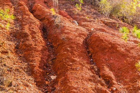 15 things you didn't know about soil | MNN - Mother Nature Network Soil Photography, Georgian Cuisine, Mountain Pictures, Homemade Wine, Red Dirt, Park Landscape, Clay Bowl, Wooden Ladder, Ceramic Jug