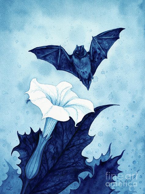 Gothic Flower Painting, Gothic Watercolor Art, Botanical Gothic, Witchy Watercolor, Bat Artwork, Gothic Botanical, Bat Painting, Thorn Apple, Gothic Illustration