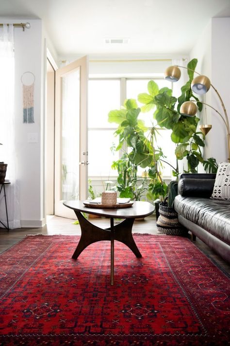 Red Persian Carpet Living Room Modern, Small Bedroom Carpet, Carpet Colour Ideas, Carpet Ideas For Bedroom, Fuschia Rug, Red Persian Rug Living Room, Carpet Ideas Bedroom, Wall To Wall Carpet Ideas, Living Room Carpet Ideas