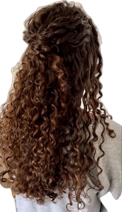 Long naturally curly brunette hair styled for a wedding in half up half down style Naturally Curly Wedding Hair, Wedding Hair Curly, Curly Bride, Curly Bridal Hair, Curly Prom Hair, Curly Wedding Hair, Hairdos For Curly Hair, Wedding Hair Inspiration, Half Up Hair