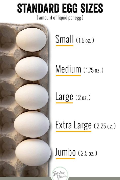 Egg sizes range from small to jumbo and the larger they are, the more liquid they contain. There are also various colors availble from different chickens. #eggs #usda #eggsizes #easter Different Types Of Eggs, Lung Cleanse, Types Of Eggs, Types Of Chickens, Backyard Chicken Farming, Chicken Life, Chicken Garden, Organic Eggs, Keeping Chickens