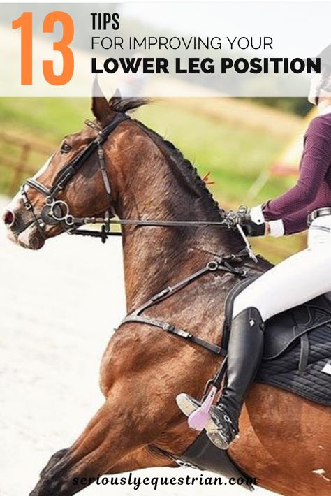 English Riding Tips, Lower Leg Exercises, Equestrian Fitness, Horseback Riding Tips, Riding Tips, Horse Exercises, Horse Care Tips, Horse Riding Tips, Leg Exercises