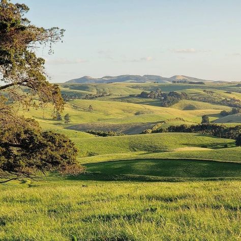 Rural Australia Aesthetic, Australian Gothic, Countryside Aesthetic, Cottage Backyard, Summer List, Countryside Living, Australian Style, Autumn Lake, Temperate Rainforest