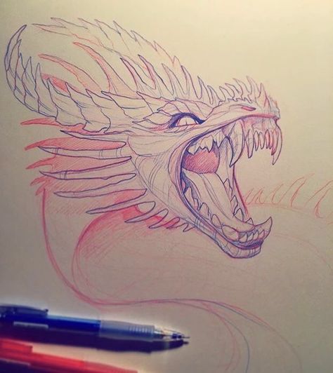 Dragon Sketch, Creature Drawings, Fantasy Creatures Art, Dragon Artwork, Mythical Creatures Art, Dragon Drawing, Creature Concept Art, Dragon Design, A Dragon