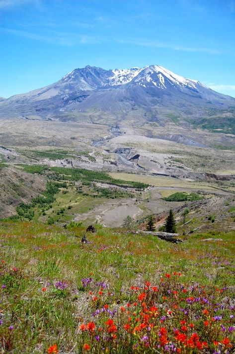 mt st helens Things To Do In Washington, Mt St Helens, Mount St Helens, Nature City, Washington State Travel, Most Beautiful Places To Visit, Washington Travel, Evergreen State, St Helens