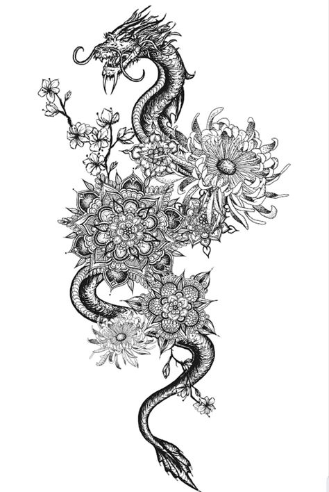 Chrysanthemums dragon mandala Mandala Dragon, Dragon Mandala, Chrysanthemum Tattoo, Chrysanthemum, Tattoo Ideas, Tattoos, Flowers, Art