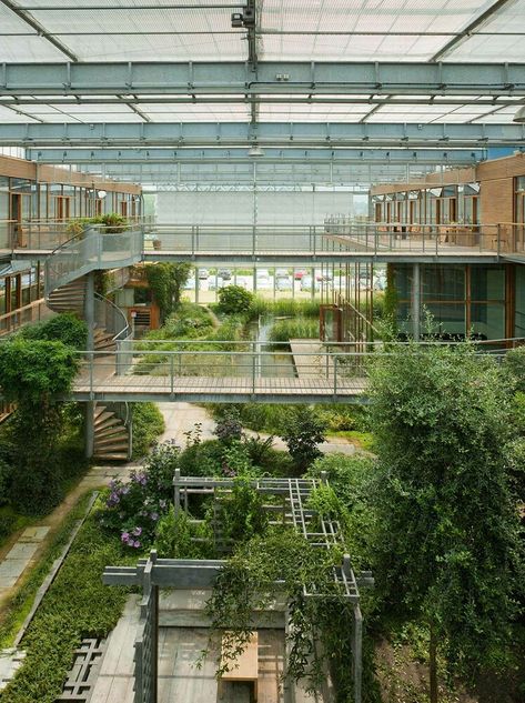 Biophilic Architecture, Atrium Design, Architecture Presentation Board, Office Building Architecture, Eco Architecture, Green Architecture, Earthship, Green Interiors, Sustainable Architecture