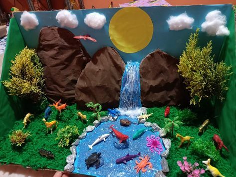 3d Forest Project, Forest Ecosystem Project, Diorama Nature, Golu Themes, Habitat Projects, Biodiversity Project, Seasons Chart, Diorama Kids, Nature Crafts Kids