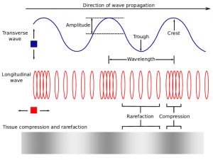 Mechanical Wave, Longitudinal Wave, Centripetal Force, Types Of Waves, Science Notes, What Is Meant, Engineering Technology, Circuit Diagram, Still Water