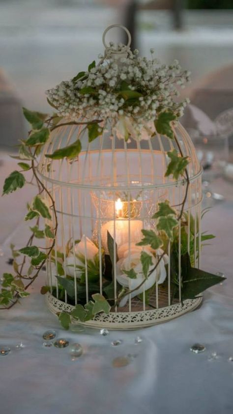 Bird Cage Centerpiece, Wedding Birdcage, Deco Champetre, Tafel Decor, Bird Cage Decor, Home Garden Design, Decoration Piece, Bird Cages, Centre Pieces