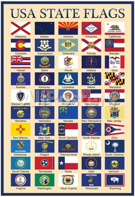 USA 50 State Flags Chart Travel Poster - 33 x 48 cm Wyoming Flag, Us States Flags, History Classroom, United States Flag, Usa States, U.s. States, Education Poster, Flags Of The World, State Flags