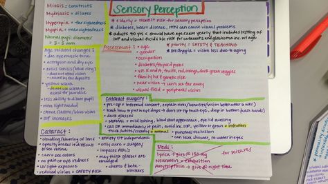 Sensory Perception Nursing, Nurse Notes, Nurse Study, Nurse Study Notes, Nursing School Notes, Eye Exam, Nursing Study, Nursing Notes, School Notes