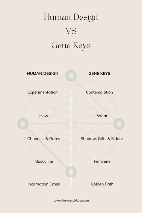 Human Design & Gene Keys work in different ways, but both can help you find and live your purpose. Read more in my blog. Increase Height Exercise, Finding Your Purpose, Gene Keys, What Is Human, Human Design System, Post Human, Sciatic Nerve Pain, Dream Symbols, Abraham Hicks Quotes