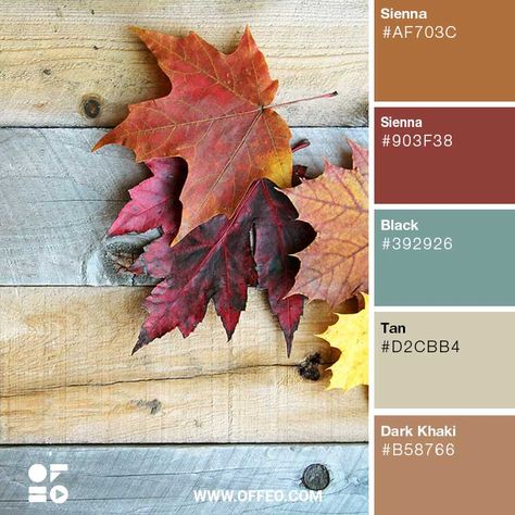 20 Nature Inspired Rustic Color Palettes | Rustic Color Schemes | OFFEO Rustic Color Theme, Rustic Modern Color Palette, Vintage Farmhouse Color Palette, Rustic Color Pallete, Rustic Vintage Color Palette, Camping Color Palette, Grill Facade, Rustic Paint Colors Schemes, Rustic Color Palette For Home