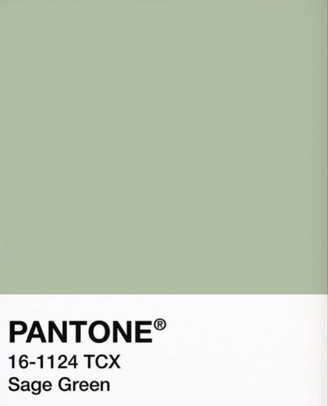 Pantone Sage Green Colour Palettes, Room Color Ideas Sage Green, Pantone Colors Sage Green, Sage Pantone Color, Sage Green Pantone Colour Palettes, Sage Green Paint Swatch, Matcha Green Paint, Sage Green Color Swatch, Pastel Green Pantone