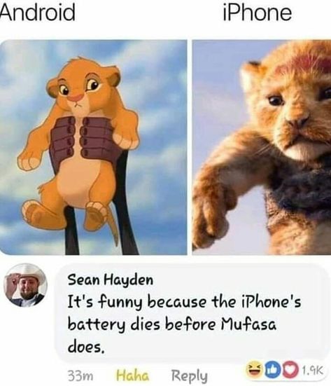 Lion King/Android vs iPhone meme Samsung Vs Iphone Funny, Iphone Humor, Lion Memes, Lion King Meme, Iphone Vs Samsung, Android Vs Iphone, Lion King Funny, Pizza Meme, Iphone Meme