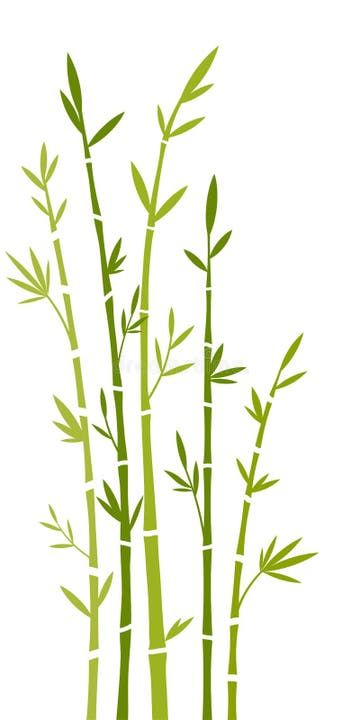 Bamboo stock vector. Illustration of branch, pink, background - 6343727 Bamboo Clipart, Bamboo Illustration, Bamboo Vector, Bamboo Drawing, Bamboo Painting, Trees Illustration, Bamboo Trees, Element Illustration, School Murals