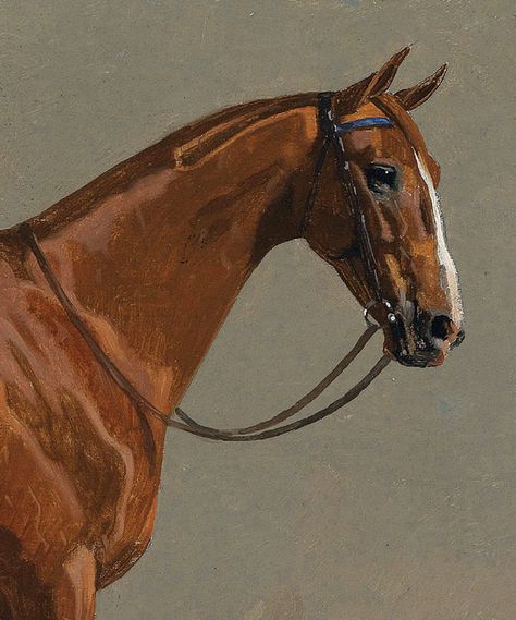 Vintage Chestnut Horse Print – Hart Equestrian Equestrian Portraits, Horse Oil Painting, Equine Portraits, Horse Posters, Rennaissance Art, Horse Artwork, Equestrian Art, Two Horses, Horse Portrait