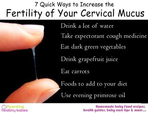 Cervical Mucus Increase Cervical Mucus, Help Getting Pregnant, Getting Pregnant Tips, Dark Green Vegetables, Cervical Mucus, Cough Medicine, Planning Pregnancy, Fertility Awareness, Pregnancy Info